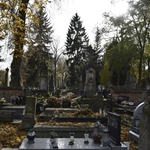 Między lipami i ciszą. Historia lubelskiego Panteonu