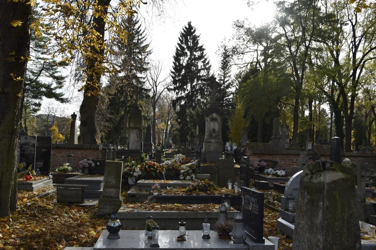 Między lipami i ciszą. Historia lubelskiego Panteonu