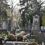 Między lipami i ciszą. Historia lubelskiego Panteonu