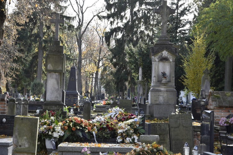 Między lipami i ciszą. Historia lubelskiego Panteonu