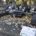 Między lipami i ciszą. Historia lubelskiego Panteonu