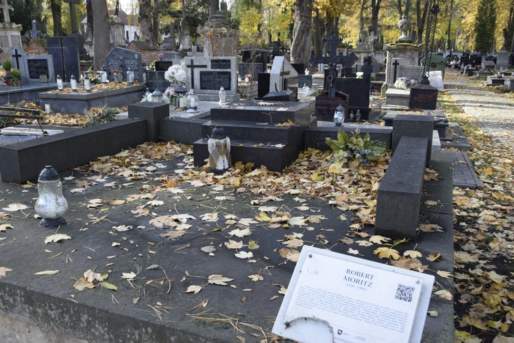 Między lipami i ciszą. Historia lubelskiego Panteonu