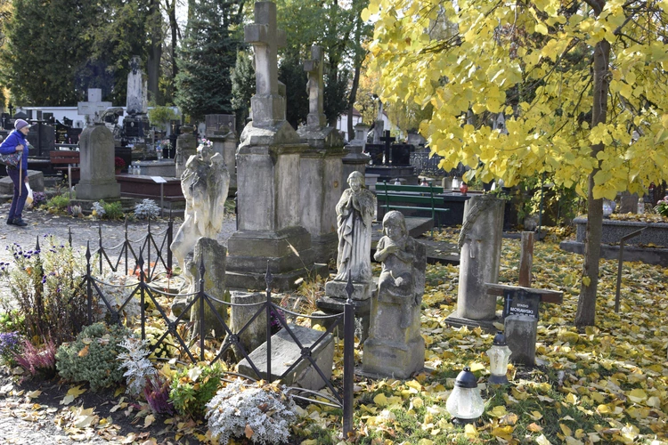 Między lipami i ciszą. Historia lubelskiego Panteonu