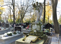 Galeria pamięci pod otwartym niebem 