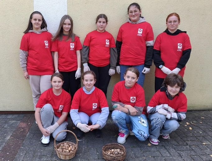 Samarytanie z Piecnika też posadzili cebule