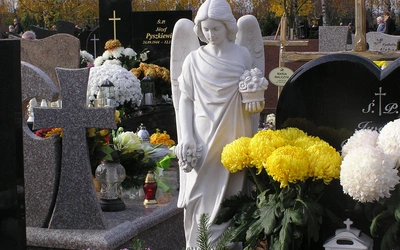 Kwesta na Tarchominie