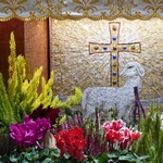 Wszyscy Święci w Siechnicach 2025