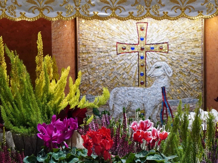 Wszyscy Święci w Siechnicach 2025