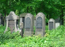 Na cmentarz żydowski nie przynosi się kwiatów i nie zapala zniczy na grobach