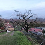 Skutki huraganu Melissa na Jamajce