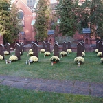 Franciszkański cmentarz we Wrocławiu-Karłowicach