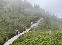 Na razie tędy nie przejdziesz