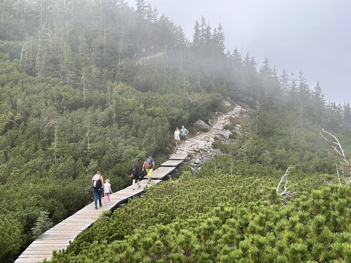 Na razie tędy nie przejdziesz