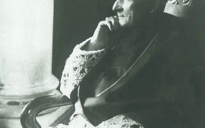 Bp Adam Sapieha był początkowo przeciwny temu pomysłowi. Przekonany jednak o pożytku takiego rozwiązania przyjął arcybiskupstwo i godność metropolity krakowskiego.