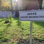 Zabrze. Powstał skwer dawców drugiego życia