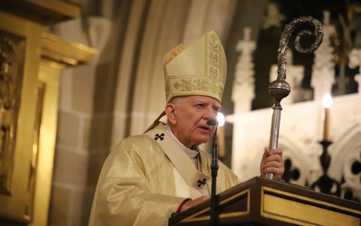 Kraków. Krzyż mocą i mądrością