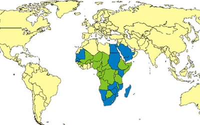 WHO: w Afryce Zachodniej wybuchła rzadka epidemia gorączki doliny Rift