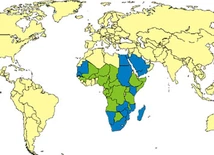 WHO: w Afryce Zachodniej wybuchła rzadka epidemia gorączki doliny Rift