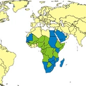 WHO: w Afryce Zachodniej wybuchła rzadka epidemia gorączki doliny Rift