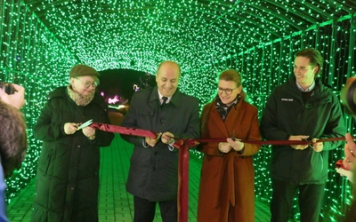 Park pełen światła