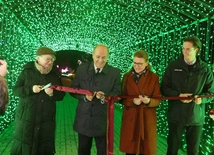 Park pełen światła