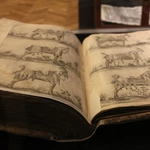 Wernisaż wystawy "Książęcy Ogród Sztuk - w Pokoju Wirtembergów"