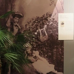 Wernisaż wystawy "Książęcy Ogród Sztuk - w Pokoju Wirtembergów"