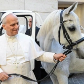 Pół roku pontyfikatu: sześć kamieni milowych Leona XIV