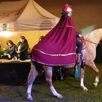 Wieczór Marcinowy w Sicinach