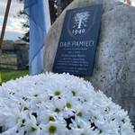 Świętowanie dla Niepodległej 