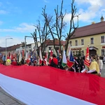 Świętowanie dla Niepodległej 