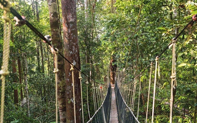 „To jest przyodziewanie człowieka we wspaniałość”. Rzeczy ostateczne: Czyściec