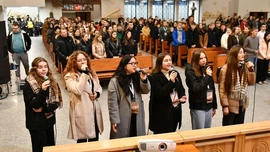 Przyjedźcie, aby zobaczyć więcej!