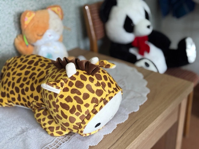 Dom Pomocy Społecznej w Ludwikowicach Kłodzkich