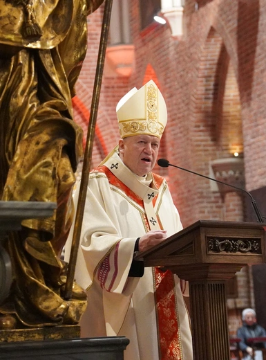 Synod archidiecezji wrocławskiej. W stronę misji