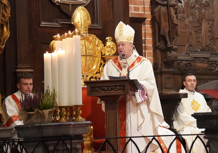 Synod archidiecezji wrocławskiej. W stronę misji