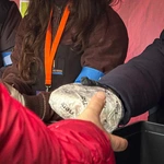 Katowice. 9. Światowy Dzień Ubogich