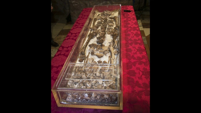 Publicznie wystawione szczątki św. Franciszka