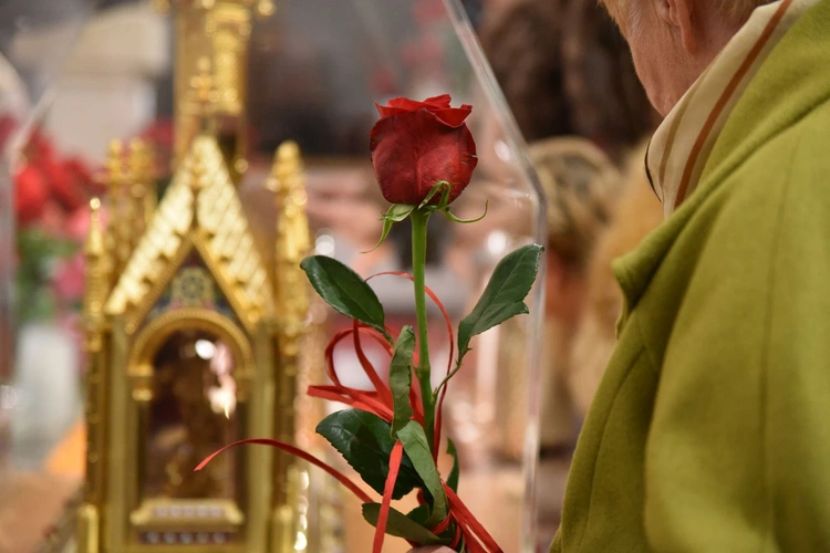 Relikwie św. Teresy od Dzieciątka Jezus i jej rodziców w Tarnowie