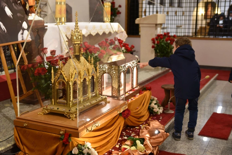 Relikwie św. Teresy od Dzieciątka Jezus i jej rodziców w Tarnowie