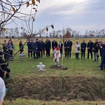 Zabawa. Obchody Światowego Dnia Pamięci Ofiar Wypadków Drogowych