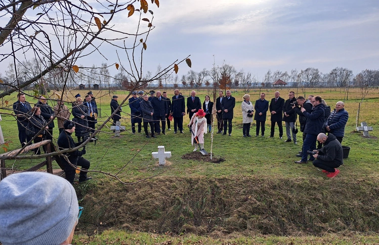 Zabawa. Obchody Światowego Dnia Pamięci Ofiar Wypadków Drogowych