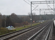 Służby cały czas badają sprawę