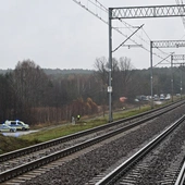 Służby cały czas badają sprawę