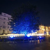 Plac Litewski w czerwieni i błękicie