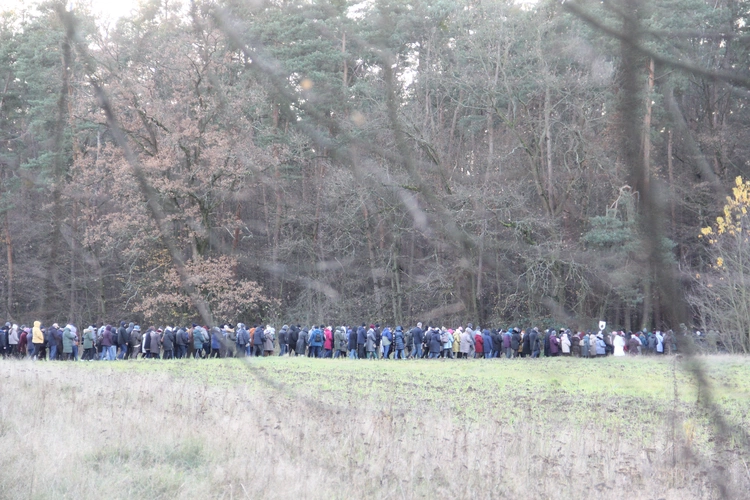 Wał-Ruda. Droga Krzyżowa z bł. Karoliną w 111. rocznicę jej męczeńskiej śmierci