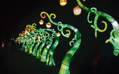 Rośliny odkrywają swoje tajemnice.