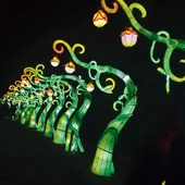 Rośliny odkrywają swoje tajemnice.