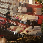 60. rocznica orędzia biskupów polskich do niemieckich - Msza święta