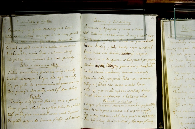 Nazywano go księciem poetów polskich